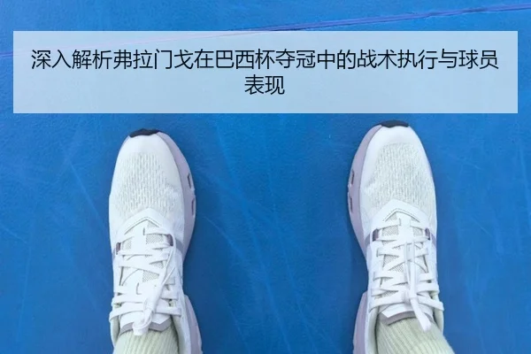 深入解析弗拉门戈在巴西杯夺冠中的战术执行与球员表现